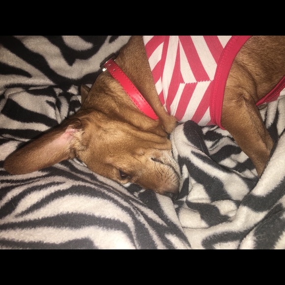 ⚡ MAKE OFFERS⚡ - Picture 5 of 7